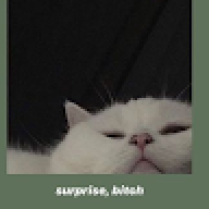 sonson_