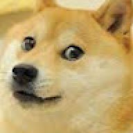Doge509