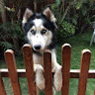 anonymous_308