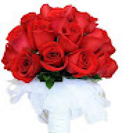 Ms Gupta