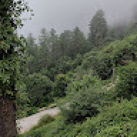 Aaliyan228