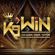 k9winvnlink
