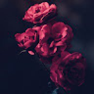 oiopliljil
