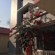 suhahossain