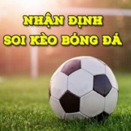 nhandinhbongdar