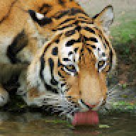 Tharun _123