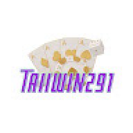 taiiwin291