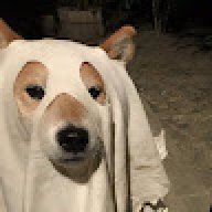 Marmarmar