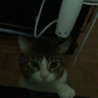 aysha.tass