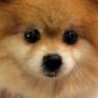 Rin12345