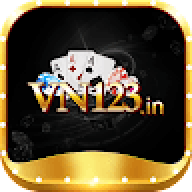 vn123in