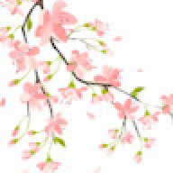 maheenimtiaz111