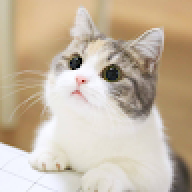 Tota Mido