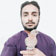 Usman haqani