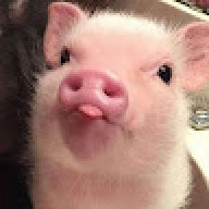 eltrenchuchu