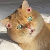 nnnnnn2