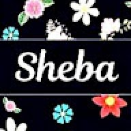 Sheba24