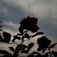 35345eg
