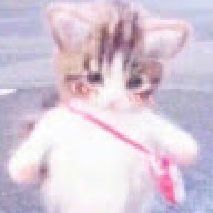thecat
