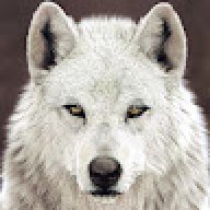 Wolf@2009