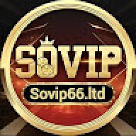 sovip66ltd1