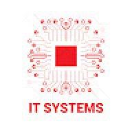 IT Systems Việt Nam