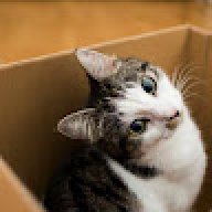 CatManXvZ