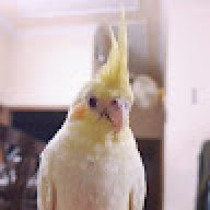 dfgsdfhdfgjhdfghh