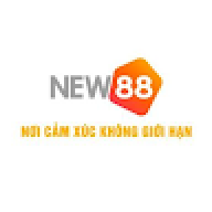 8new88co