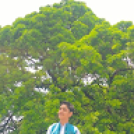 muhammad rayhaan
