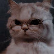 Xvxoxvs