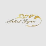 sahilgyan