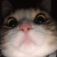 omarmeerab