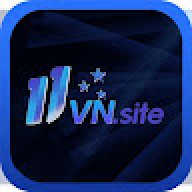 11vnsite