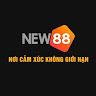 nnnew88com