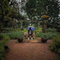 maax_cpn