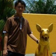 Z.E Lim