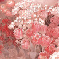 cherry_girl