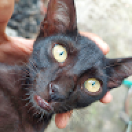 saminoinkk