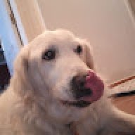 Baloo6