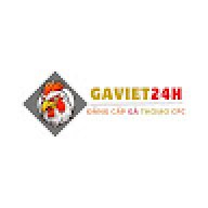 gaviet24h