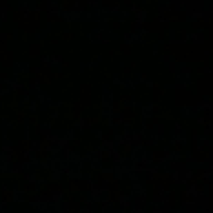 mutsaarrr