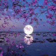 Hoori_a