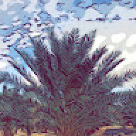 M7med_bd
