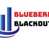 blueberryns