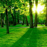 sehrish123786