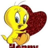 rubabqamar