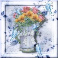 aanees4u