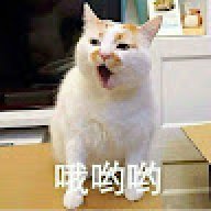haoting