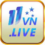 11vnlive